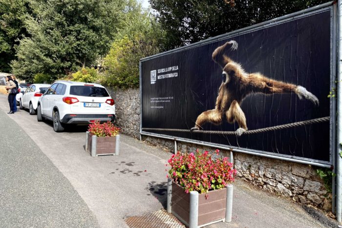 2021 - Comune di Sovicille의 2021 - Comune di Sovicille의